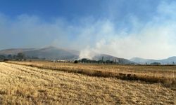 Kırşehir'de merada çıkan yangına müdahale ediliyor