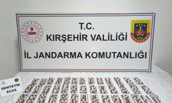 Kırşehir'de uyuşturucu operasyonunda yakalanan zanlı tutuklandı