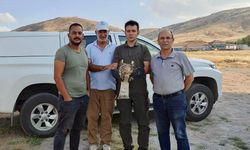 Kırşehir'de vatandaşın yaralı bulduğu yılan kartalı tedaviye alındı