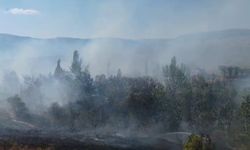 Konya'da arazide çıkan yangın söndürüldü
