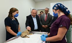 Nevşehir Valisi Fidan'dan hayvan bakımevine ziyaret
