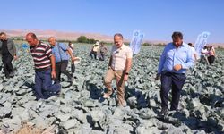 Niğde'de çiftçi buluşmaları gerçekleştirildi