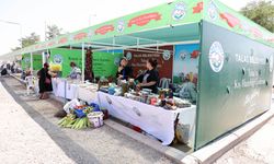 Talas'ta kışa hazırlık günleri başlıyor