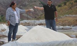 Ünlü şeflerin de tercih ettiği "altın tuz"da hasat zamanı