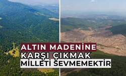 Gölge etmeyin devlet, millet kazansın