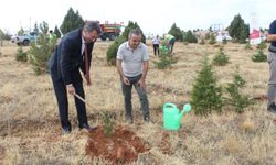 Beyşehir'den kısa kısa