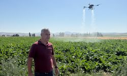 Gemerek'te şeker pancarı ekili alanlarda dronla ilaçlama yapıldı