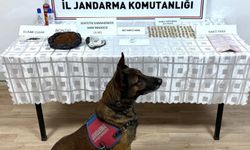 Kayseri'de tarihi eser niteliğinde 141 sikke ele geçirildi