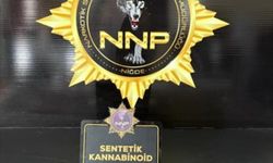 Niğde'de düzenlenen uyuşturucu operasyonunda 1 şüpheli tutuklandı