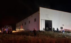Sivas'ta ahşap üretim fabrikasında çıkan yangın söndürüldü