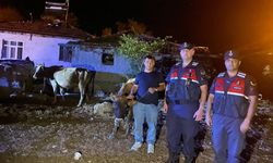 Yozgat'ta kaybolan büyükbaş hayvanlar jandarma tarafından bulundu