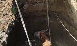 Yozgat'ta su kuyusuna düşen inek iş makinesiyle kurtarıldı