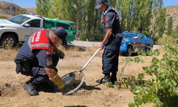 Yozgat'ta yaralı tilki tedavi altına alındı