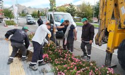 Sivrihisar’da Yeşil Alanlarda Bakım ve Fidan Dikimi