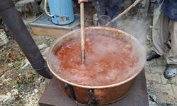 Beypazarı'nda çiftçiler bağ bozumunun ardından cevizli sucuk mesaisine başladı