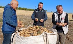 Beyşehir'de patates hasadı başladı