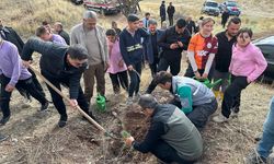 Çankırı'da Cumhuriyet'in 102. yılında 102 fidan dikildi