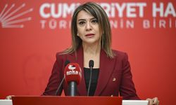 CHP Genel Başkan Yardımcısı Taşcıer, basın toplantısı düzenledi
