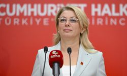 CHP Kadın Kolları Genel Başkanı Kaya, basın toplantısı düzenledi: