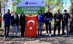 Ecogreen Enerji Denizli'de 2 bin fidanlık ormanı doğaya kazandırdı