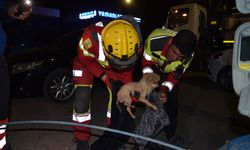 Konya'da kanalizasyon borusuna sıkışan köpek yavrusu itfaiyenin 6 saatlik çalışmasıyla kurtarıldı