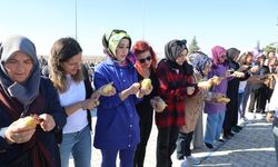 Nevşehir'de Patates Festivali düzenlendi