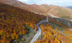 Sonbaharın renkleriyle kaplanan Şebek Geçidi dronla görüntülendi