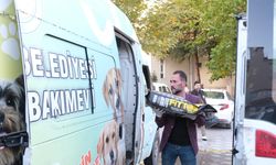 Sorgun'da atık yağlarla köpek maması alınıyor