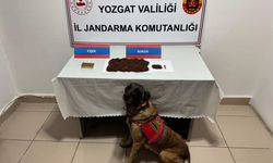 Yozgat'ta uyuşturucu operasyonunda 1 zanlı yakalandı