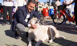 'Hayvanların da  insanlar gibi yaşam hakkı var'