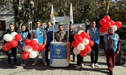 AK Parti'li gençlerden '81 Hayal, Bir Türkiye' etkinliği