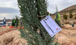 Aksaray'da 5 bin fidan toprakla buluşturuldu