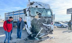 Aksaray'da iki tırın çarpıştığı kazada 1 kişi yaralandı