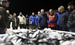 Ankara'da bu yıl 6 bin 161 su ürünleri denetimi yapıldı