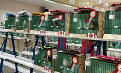 Ankara'da kanarya güzellik yarışması düzenlendi