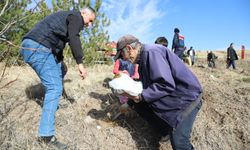 Ankara'nın ilçelerinde fidanlar toprakla buluştu