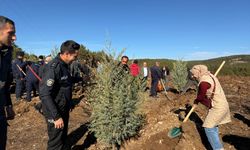 Atkaracalar'da Milli Ağaçlandırma Günü kapsamında fidan dikimi yapıldı