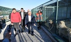 Başkan Büyükkılıç'tan Sahipsiz Hayvan Bakım ve Rehabilitasyon Merkezi'ne ziyaret