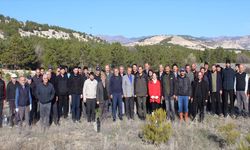 Beypazarı'nda hatıra ormanına fidan dikildi