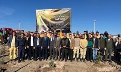 Çerkeş ilçesinde 11 Kasım Milli Ağaçlandırma Günü'nde fidan dikildi