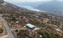 Devlet desteğiyle kurulan zeytinyağı sıkım tesisi yöre halkını üretime teşvik ediyor