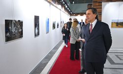 'Işığın İzi: Elektrik Dağıtım Sektörü Çalışanları Ulusal Fotoğraf Yarışması' sonuçlandı