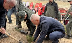 Karaman'da şehitler için fidan dikildi