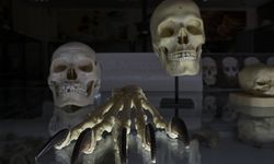 Kayıp yüzlerin arkasındaki faili meçhul cinayetler polis laboratuvarında aydınlatılıyor