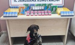 Kayseri'de kaçakçılık operasyonunda 2 şüpheli yakalandı