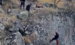 Kayseri'de uçurumda mahsur kalan keçiyi itfaiye ekipleri kurtardı