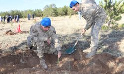 Kırşehir'de jandarma 700 fidanı toprakla buluşturdu