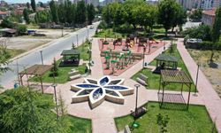 Kocasinan Belediyesi bu yıl 94 bin fidan dikti