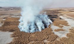 Konya'daki tamamen kuruyan Gökgöl sazlıkları 2 gündür yanıyor