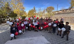 Nevşehir'de AK Parti'li gençlerden '81 Hayal, Bir Türkiye' etkinliği